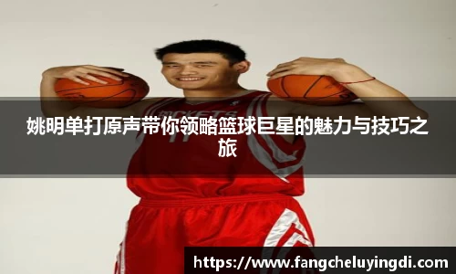 姚明单打原声带你领略篮球巨星的魅力与技巧之旅