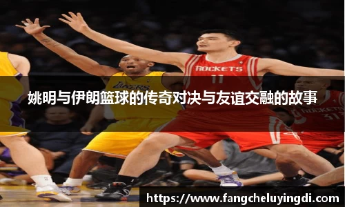 乐动体育官网