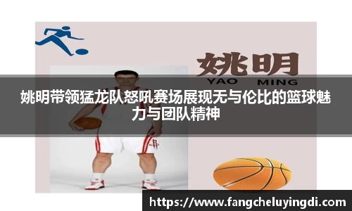 姚明带领猛龙队怒吼赛场展现无与伦比的篮球魅力与团队精神
