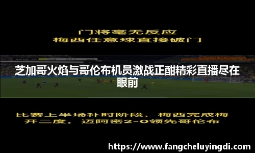 LDSports官网入口